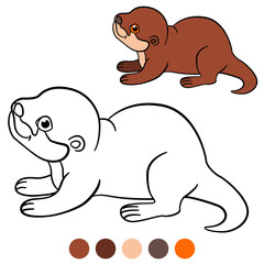 Coloring page. Little cute baby otter smiles.