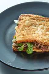 Grilled ham sandwich