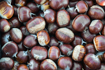 Autumn chestnuts detail