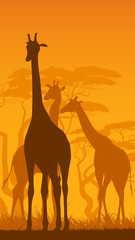 Fototapeta na wymiar Vertical illustration of wild giraffes in African savanna.
