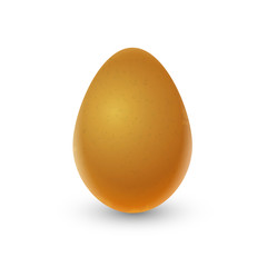 Realistic brown egg on white