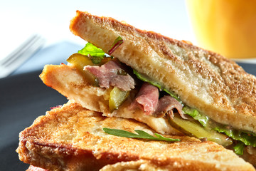 delicious sandwich closeup