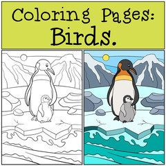 Coloring Pages: Birds. Mother penguin with her baby.