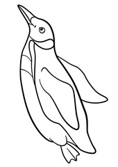 Coloring pages. Little cute penguin swims.