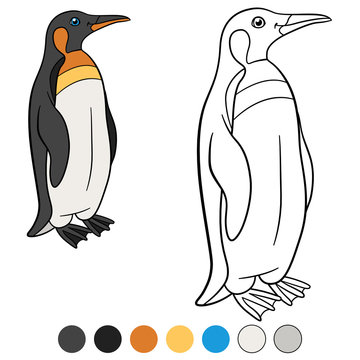Coloring pages. Little cute penguin smiles.
