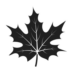 Maple leaf icon in black style isolated on white background. Canadian Thanksgiving Day symbol stock vector illustration.
