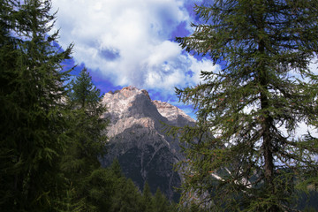 Dolomiti - Trentino Alto Adige - 124617539