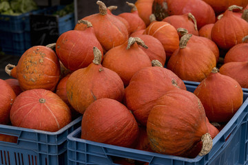Group of pumpkins in the basket of a street fruit stand