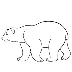 Coloring pages. Cute polar bear smiles.