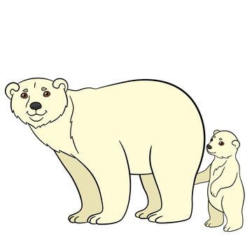 Cartoon animals. Mother polar bear with her baby.