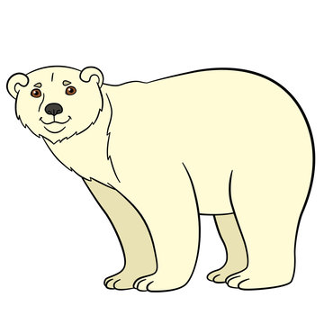 Cartoon animals. Cute polar bear smiles.