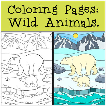 Coloring Pages: Wild Animals. Mother polar bear with her baby.