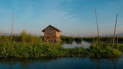 Floating garden on Inle lake, Shan state, Myanmar