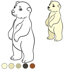Coloring page. Little cute baby polar bear.