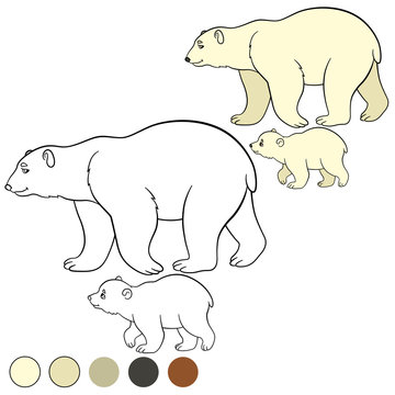 Coloring page. Mother polar bear with her cute baby.