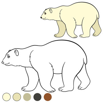Coloring page. Cute polar bear smiles.
