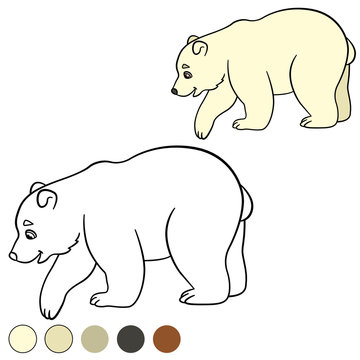 Coloring page. Little cute baby polar bear smiles.
