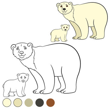 Coloring page. Mother polar bear with her cute baby.