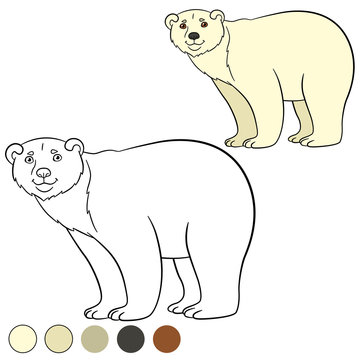 Coloring page. Cute polar bear smiles.