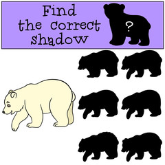 Educational game: Find the correct shadow. Cute baby polar bear.