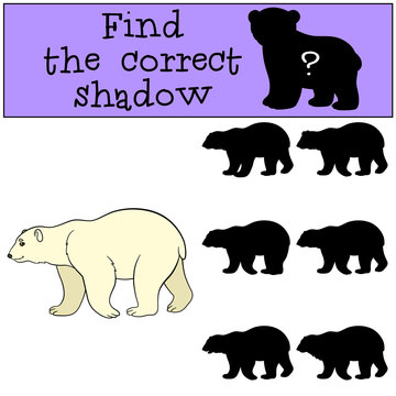 Educational game: Find the correct shadow. Cute polar bear smile