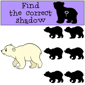 Educational game: Find the correct shadow. Cute baby polar bear.