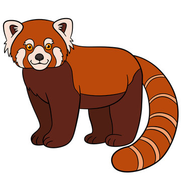 Cartoon wild animals. Little cute red panda smiles.