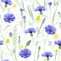 Cornflower field - seamless pattern. 
Hand drawn vector floral pattern with blue  flowers and grasses on white background.
