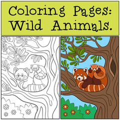 Coloring Pages: Wild Animals. Mother red panda with her baby.