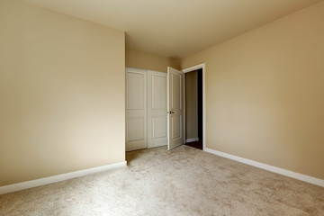 Empty beige room with carpet floor and a closet
