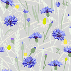 Cornflower field - seamless pattern. 
Hand drawn vector floral pattern with blue  flowers and grasses on gray background.
