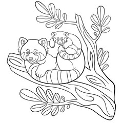 Coloring pages. Mother red panda with her cute baby.