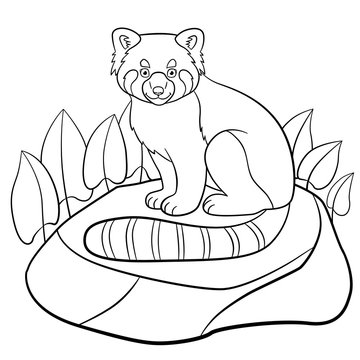 Coloring pages. Little cute red panda smiles.