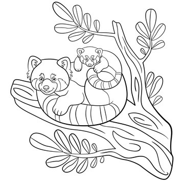 Coloring pages. Mother red panda with her cute baby.