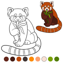 Coloring page: red panda. Little cute red panda eat leaves.