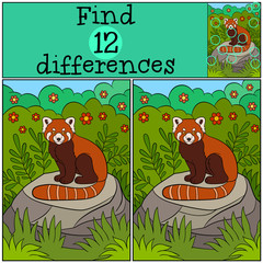 Educational game: Find differences. Little cute red panda.