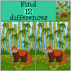 Educational game: Find differences. Little cute red panda smiles