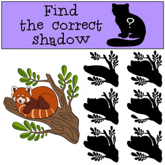 Obraz premium Educational game: Find the correct shadow. Little cute red panda