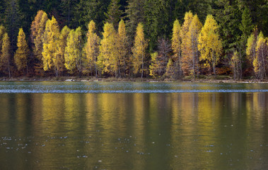 Autumn  with the yellow foliage, reflected in Lake