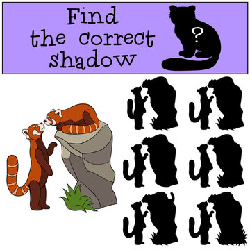 Educational game: Find the correct shadow. Two little cute panda