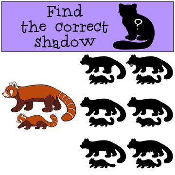 Educational game: Find the correct shadow. Red panda with baby.