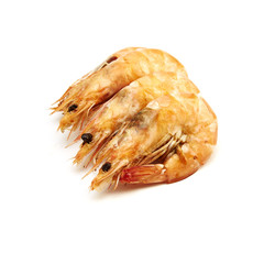 Prawn