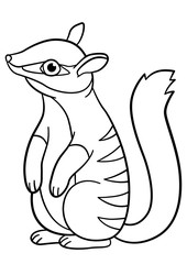 Coloring pages. Little cute baby numbat stands.