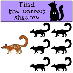 Educational game: Find the correct shadow. Little cute numbat wa