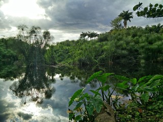 Moulin à eau - Ile de la Réunion