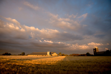 Fototapeta premium Farmland in Sweden