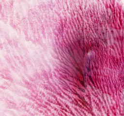 Abstract watercolor hand painted background.