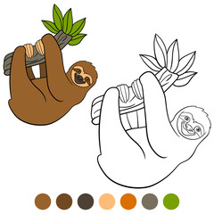 Coloring page. Cute lazy sloth hangs on the tree branch. © ya_mayka