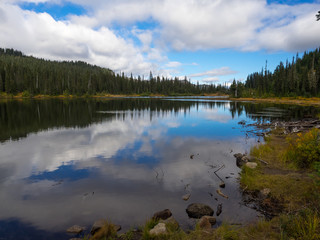 Mt. Rainier National Park Landscape