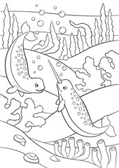 Coloring pages. Two little cute narwhals swim underwater. © ya_mayka